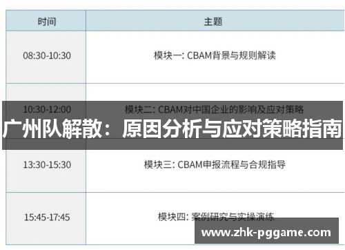 广州队解散：原因分析与应对策略指南