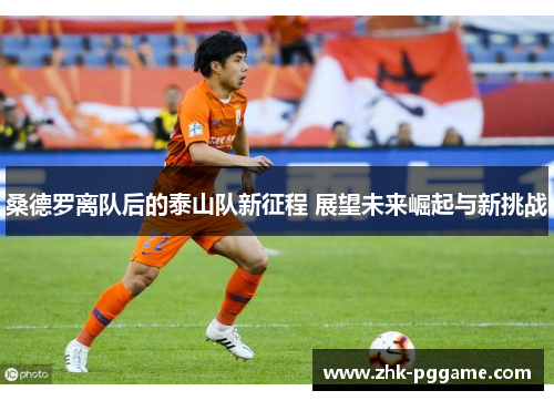 桑德罗离队后的泰山队新征程 展望未来崛起与新挑战