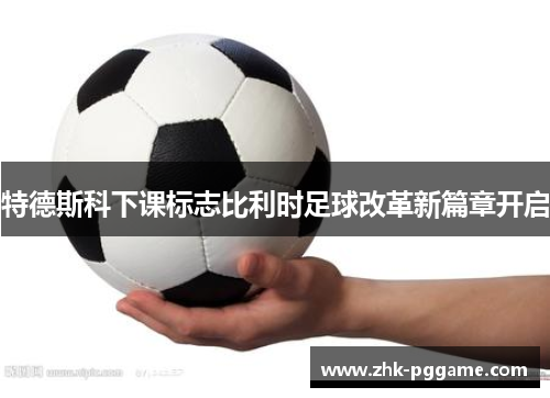 特德斯科下课标志比利时足球改革新篇章开启