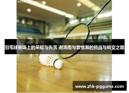 羽毛球赛场上的荣耀与失落 谢浩南与曾维瀚的挑战与蜕变之路