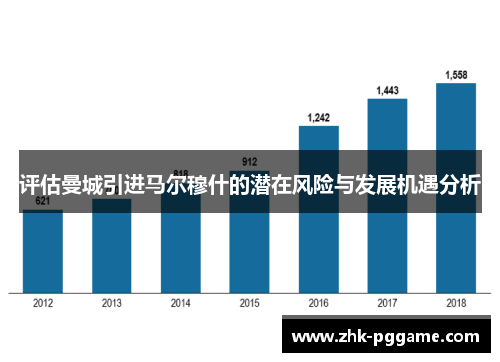 评估曼城引进马尔穆什的潜在风险与发展机遇分析