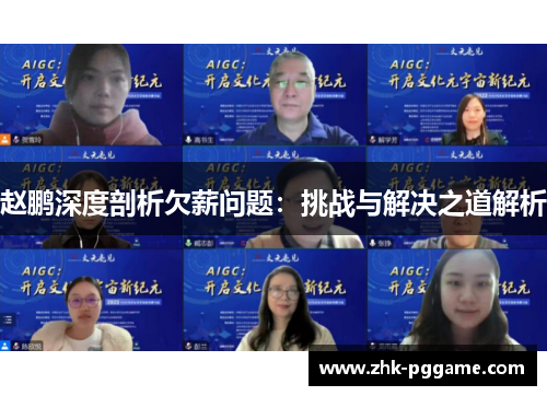 赵鹏深度剖析欠薪问题：挑战与解决之道解析