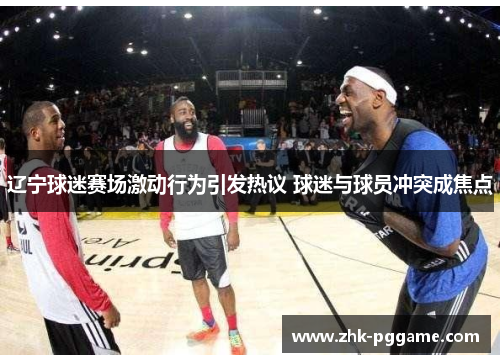 辽宁球迷赛场激动行为引发热议 球迷与球员冲突成焦点